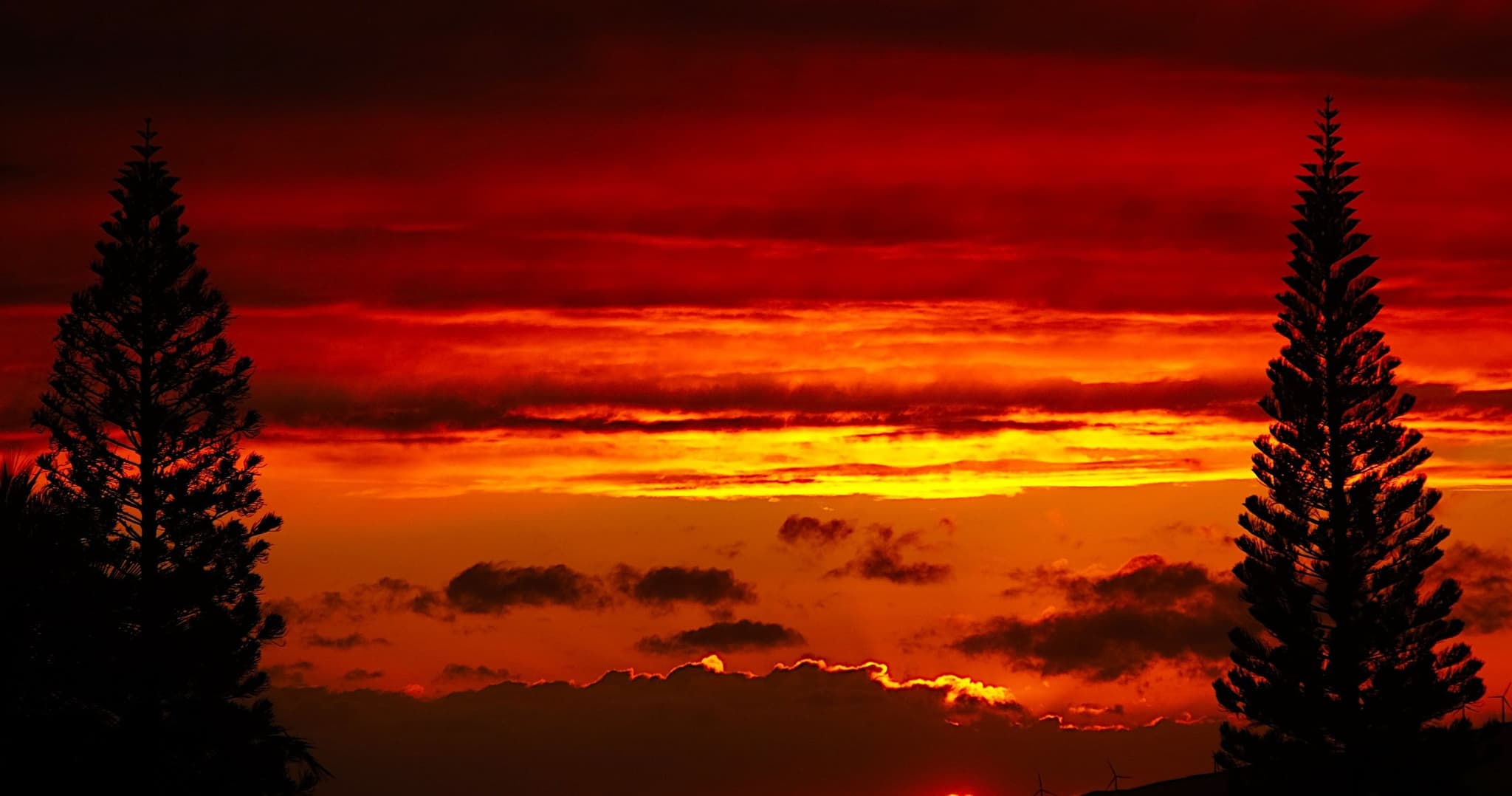 Private Upcountry Maui VIP Sunset Tour - Large Group - Half Day