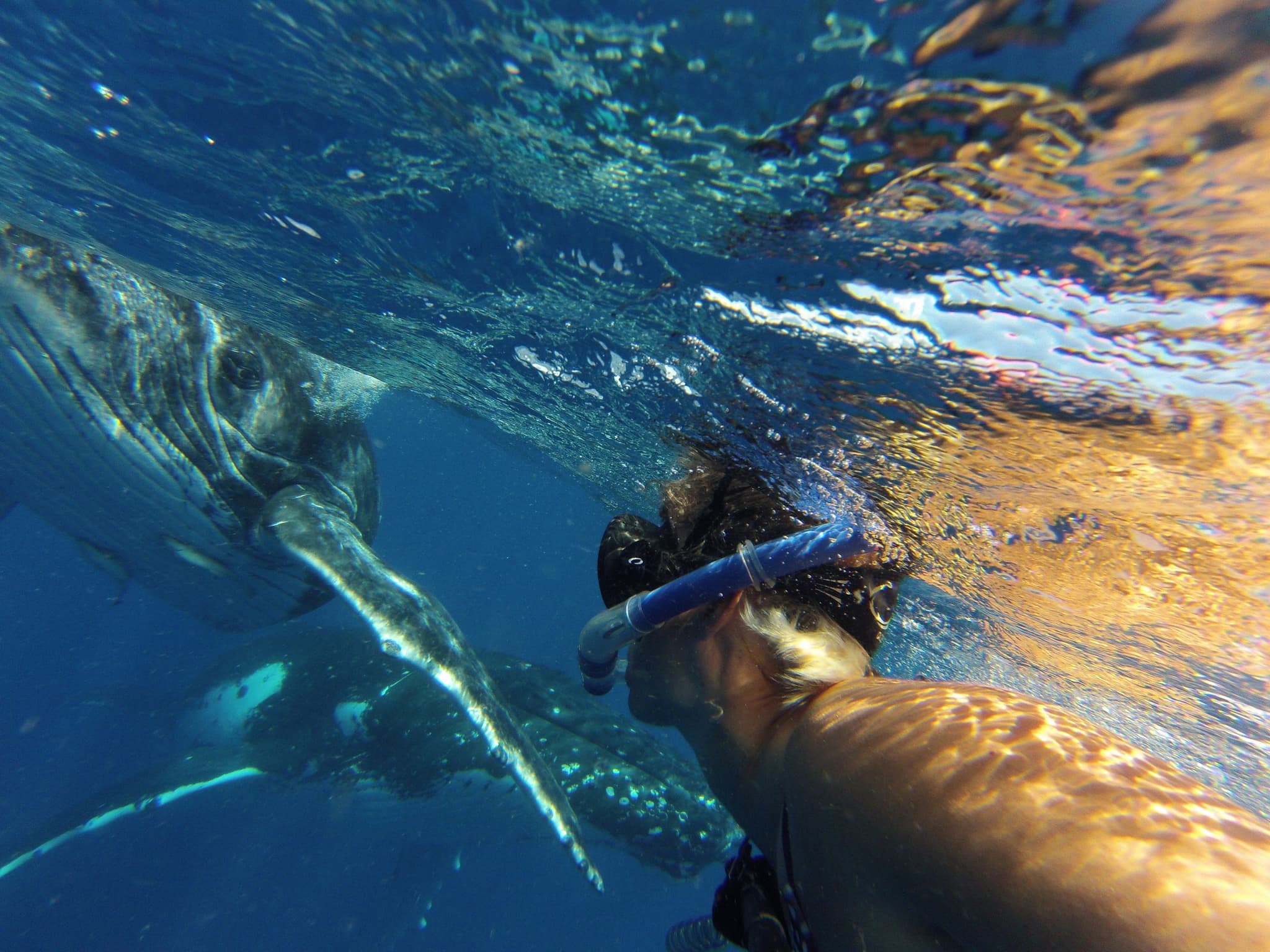 Diving Certification