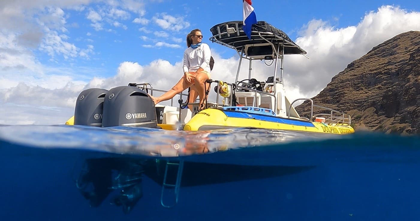 Whale Watch - Open to book Jan 1st - March 31st