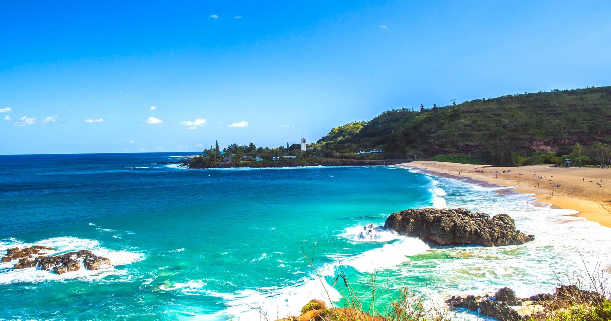 Oahu Private Tour North Shore