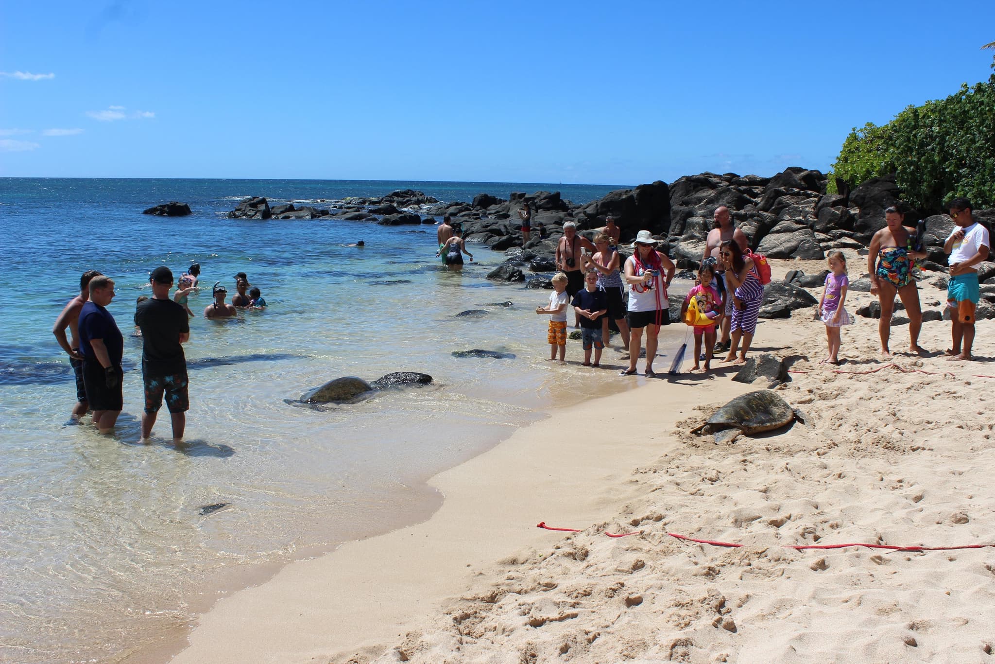 SPANISH Northshore Circle Island Adventure