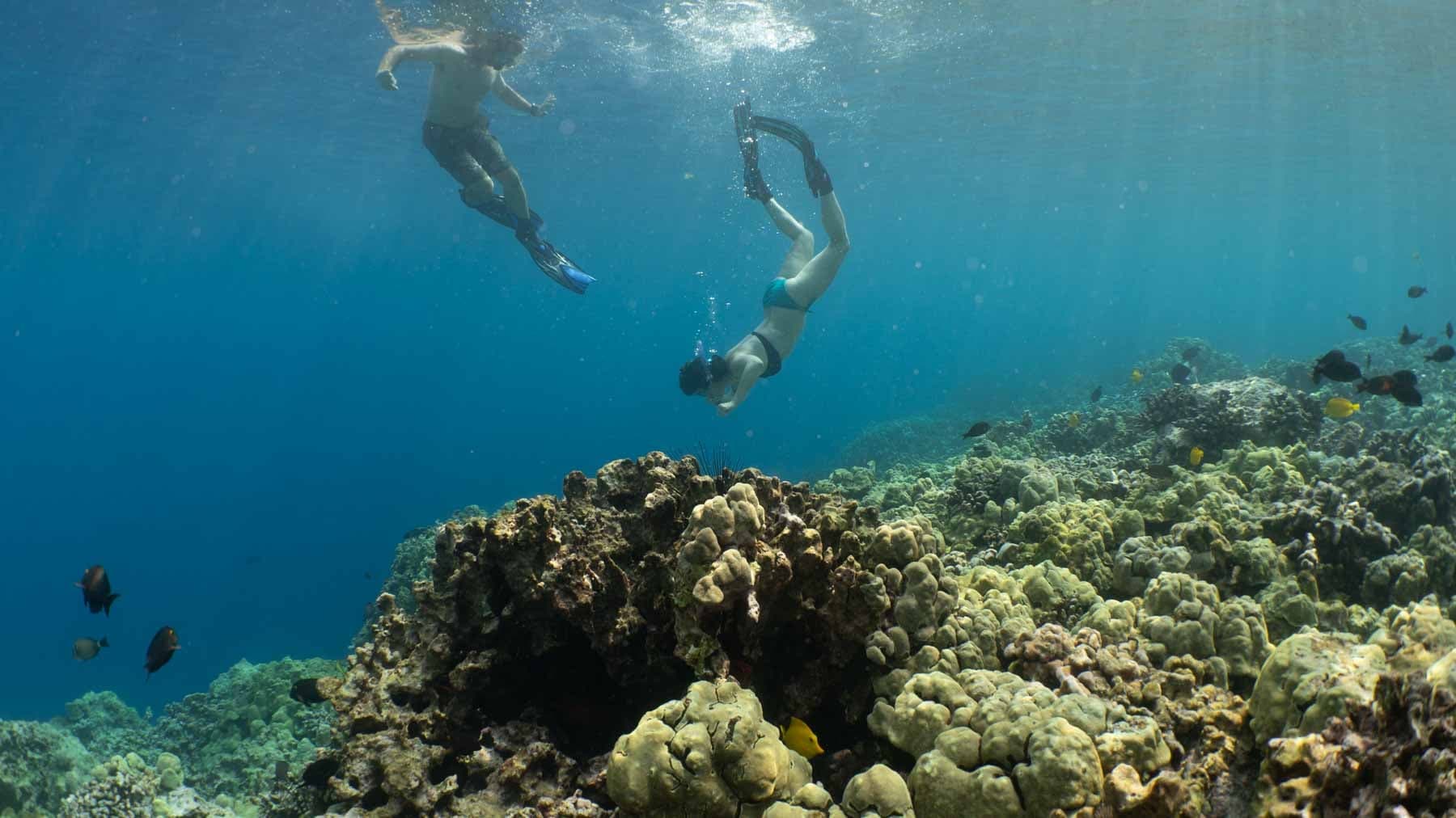Kona Snorkeling in Pawai Bay