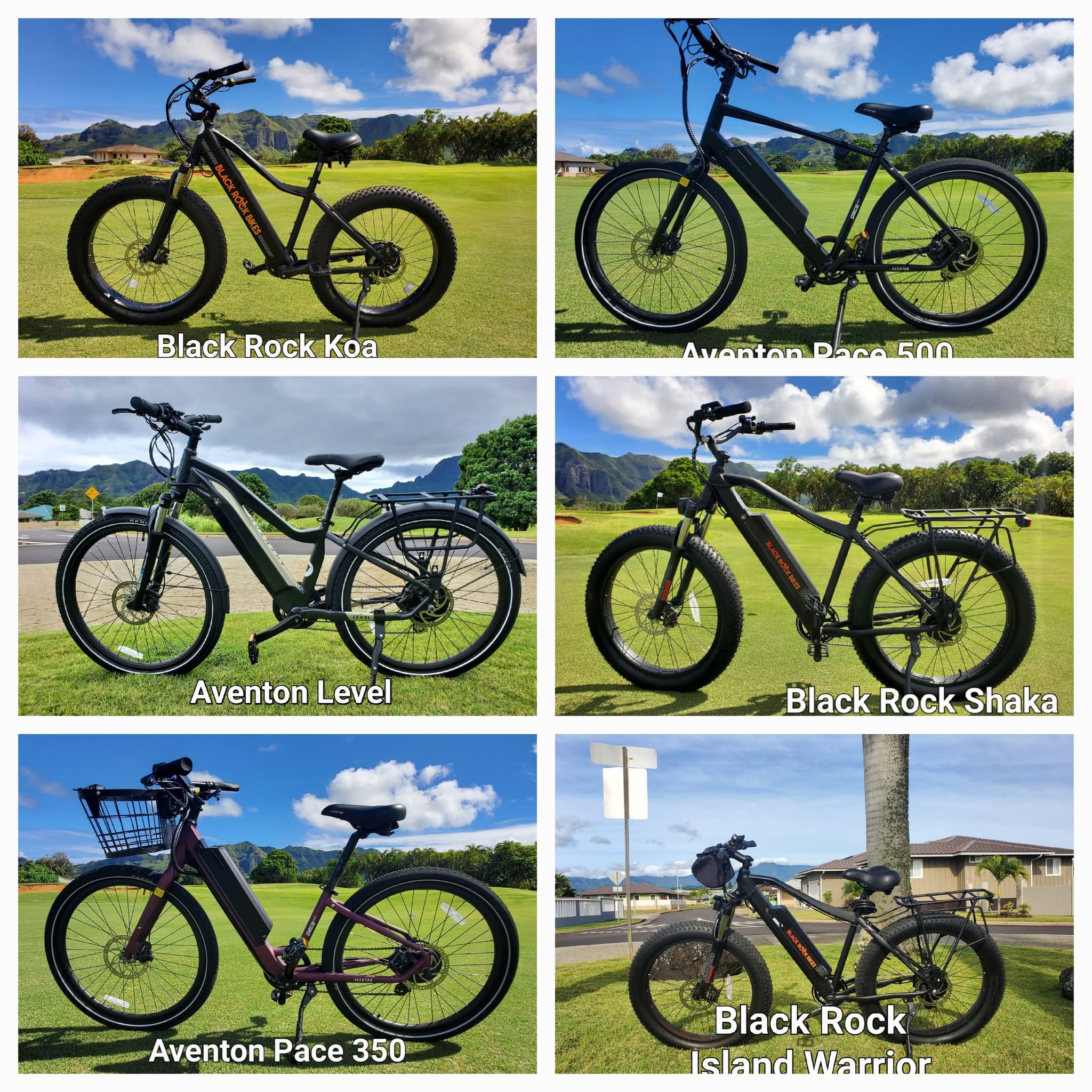 Delivery and Pick-up