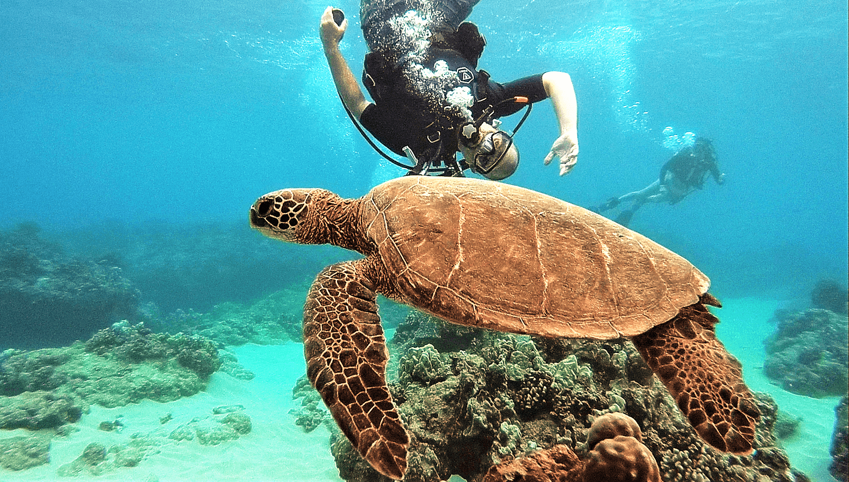 PADI Open Water Scuba Diver Certification