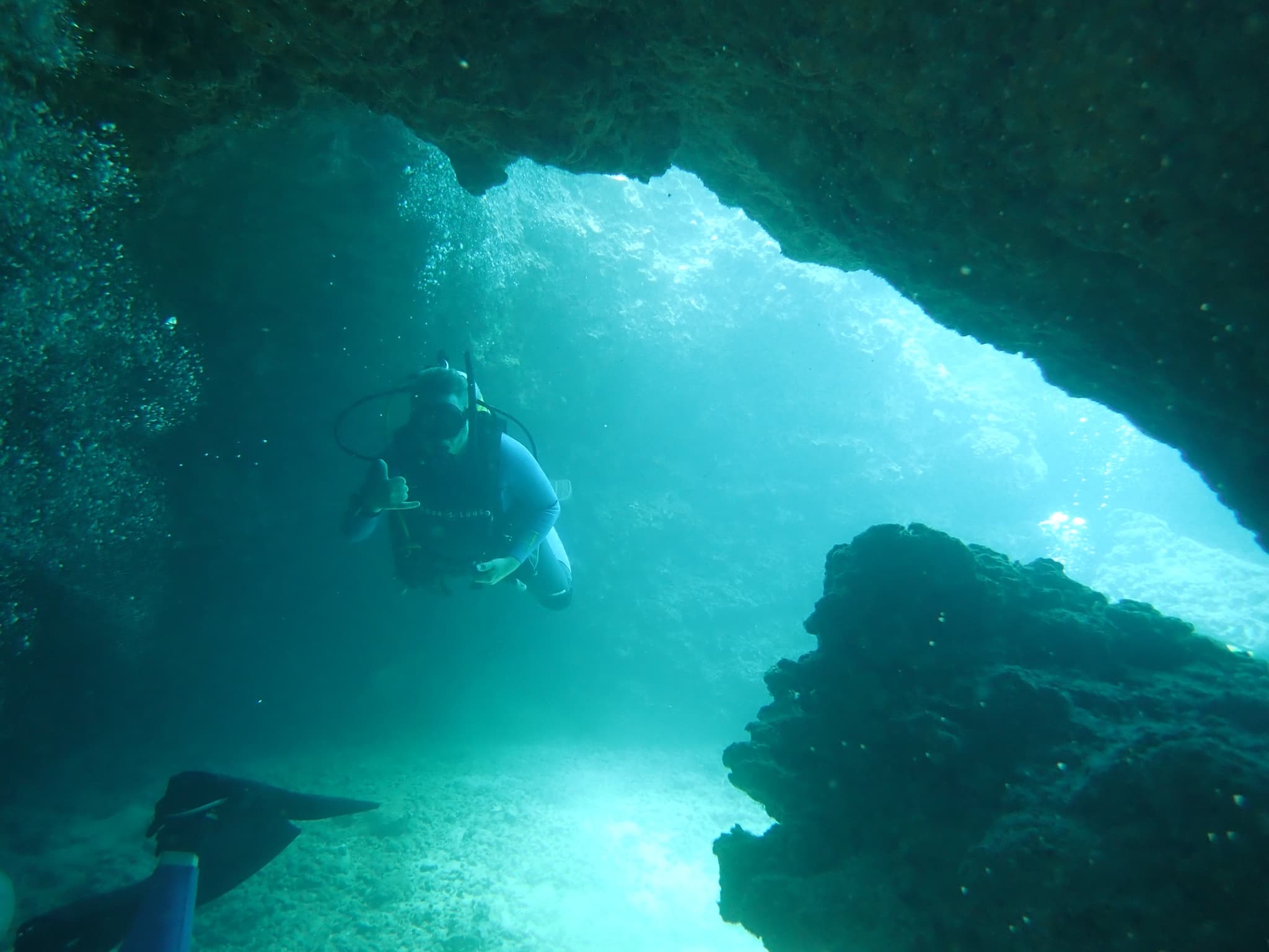 3 Tank West Side Dive Charter