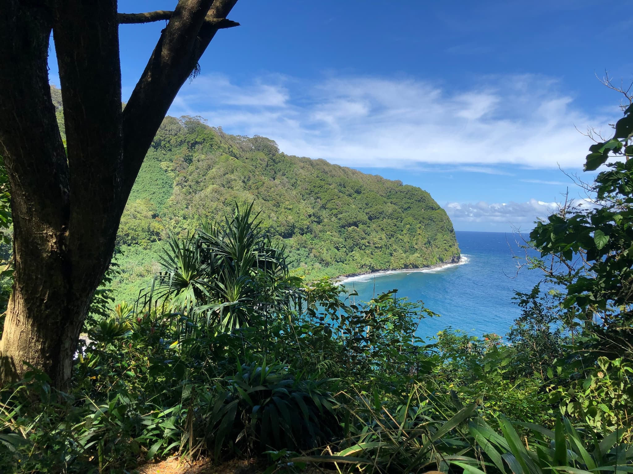 Luxury Full-Circle Road to Hana Tour - Shared