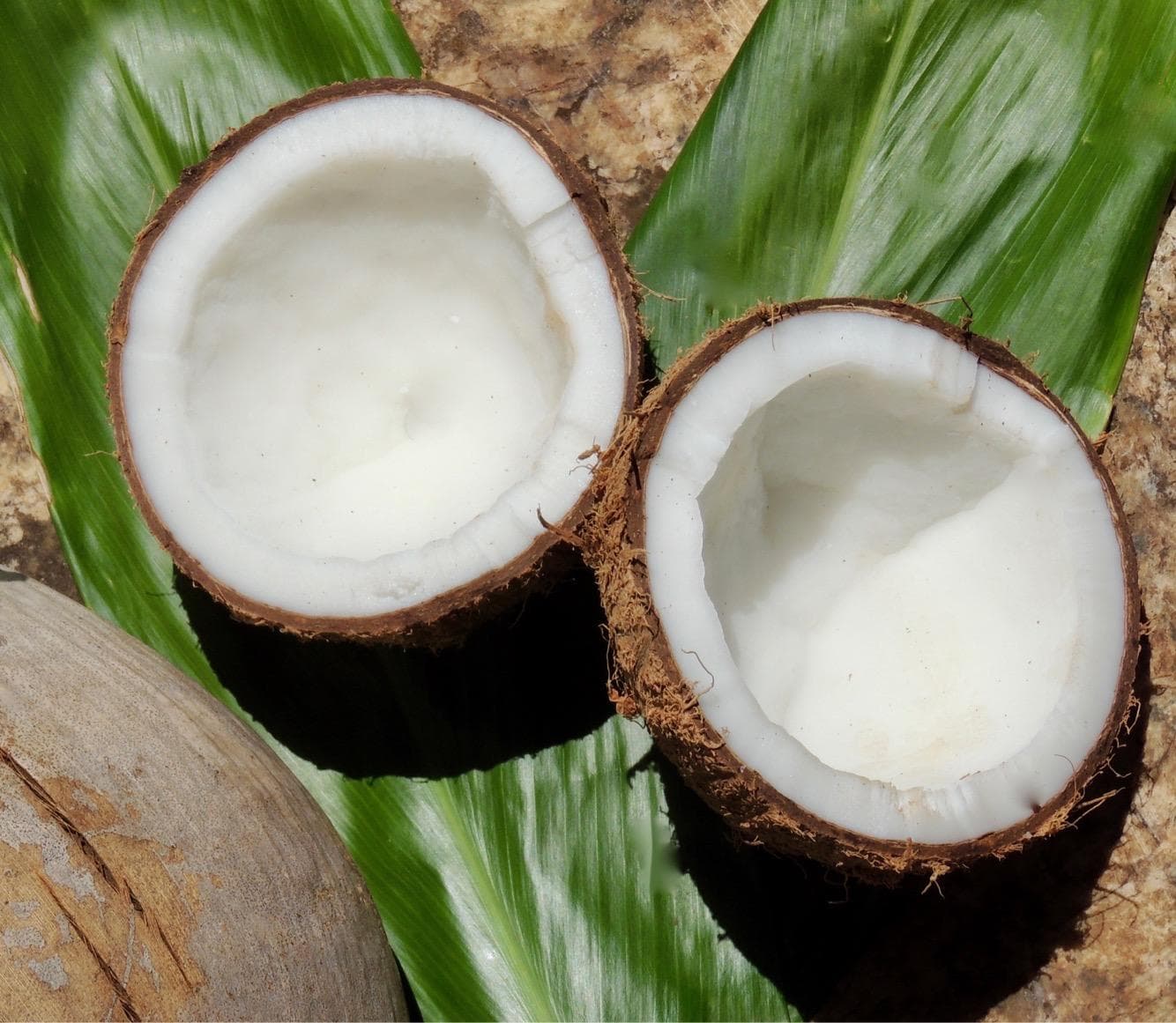 Tropical Express Tour