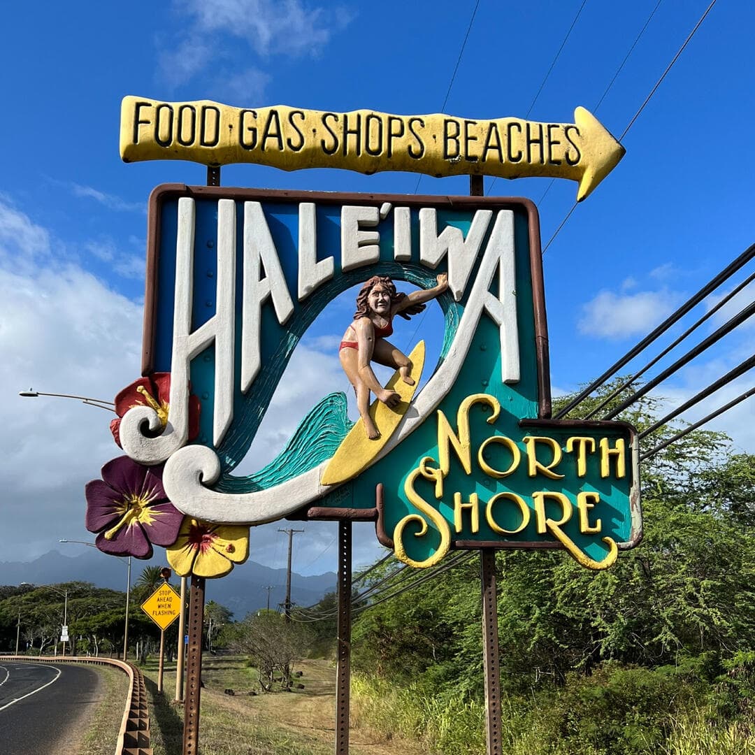 North Shore Shark Adventure