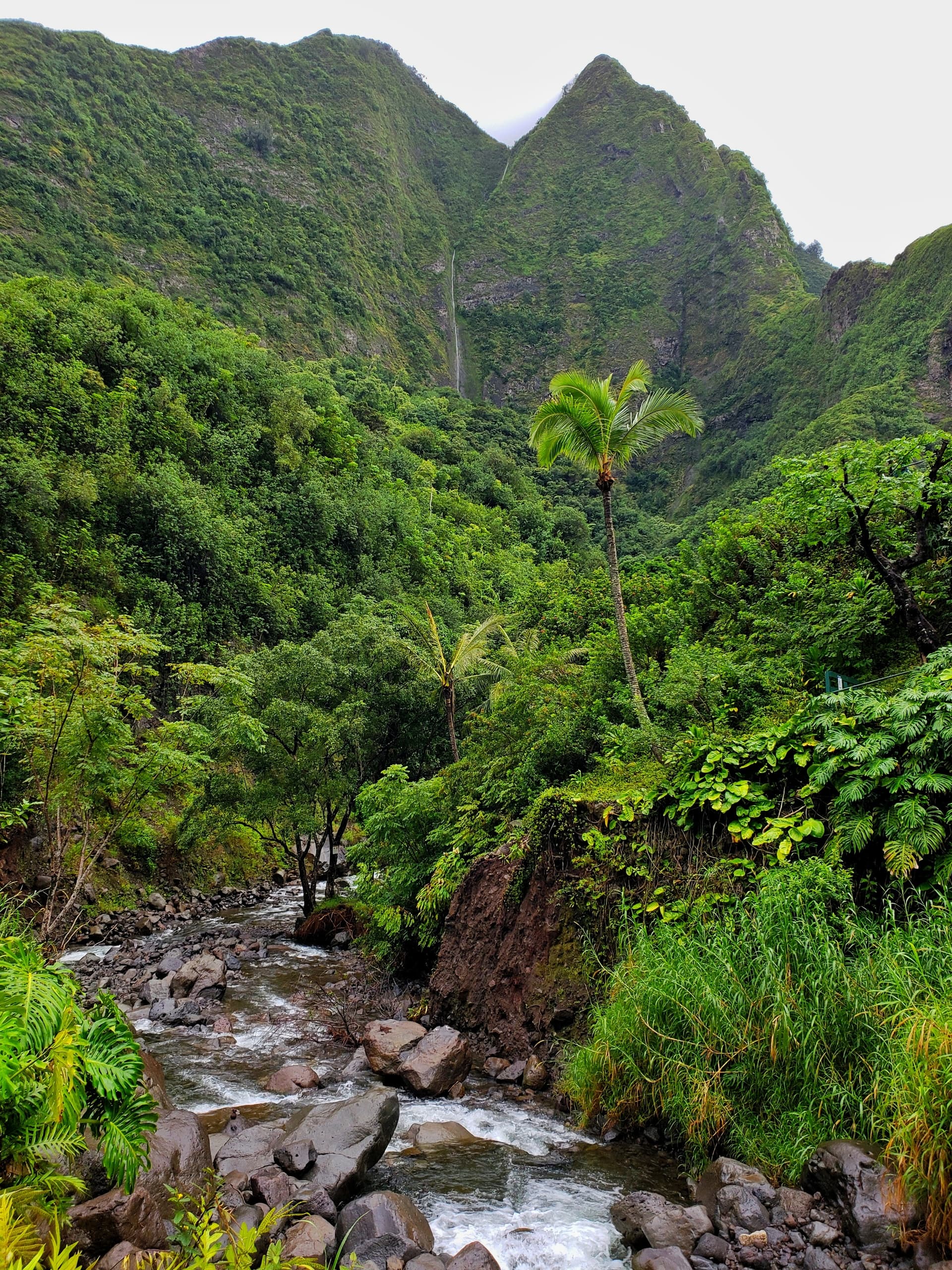 Iao Valley