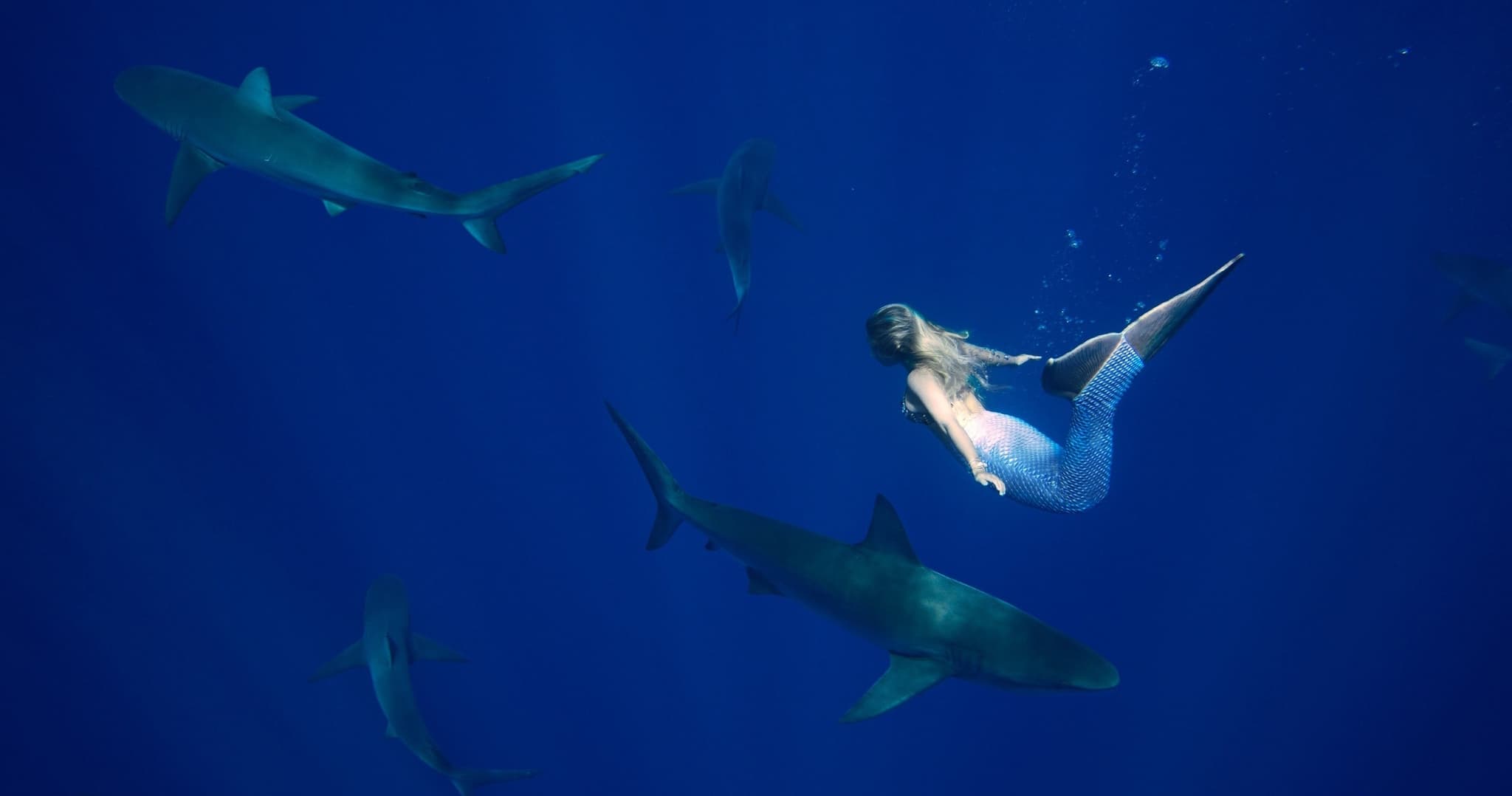 Photo Shoot Package 2 : Scaled Up