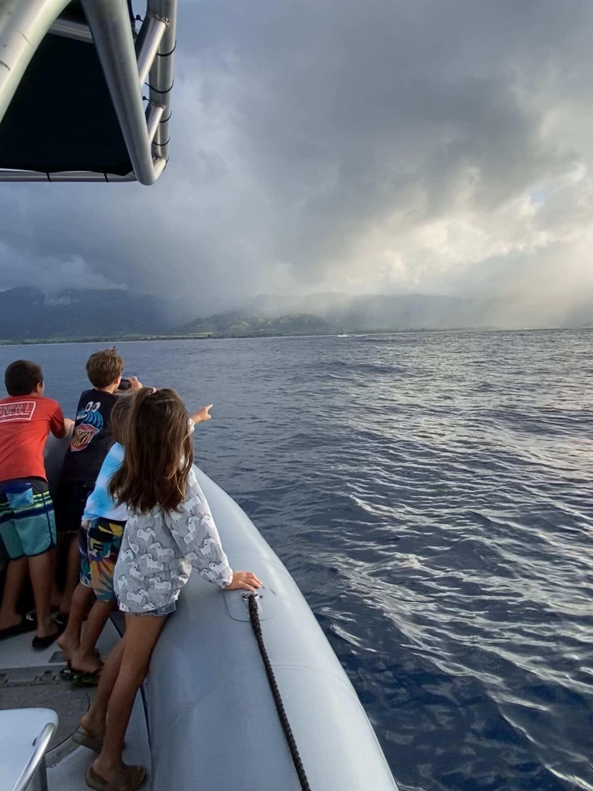 1.5 Hour Whale Watching Tour