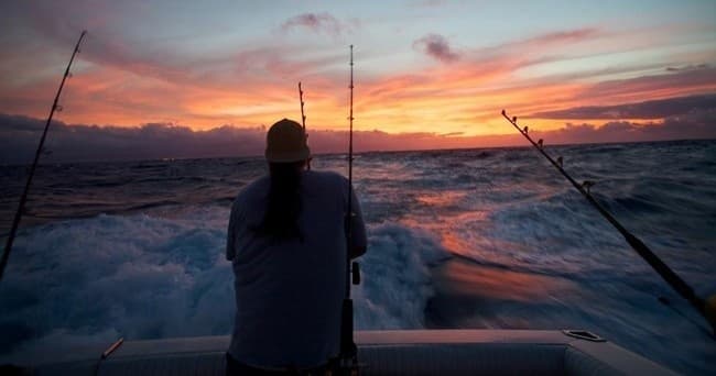 Private Charter - Full Day