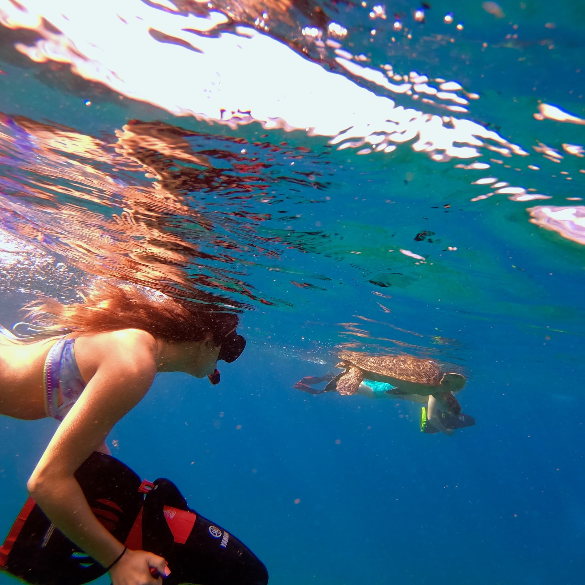Lahaina - Sea Scooter Snorkeling Guided Tour