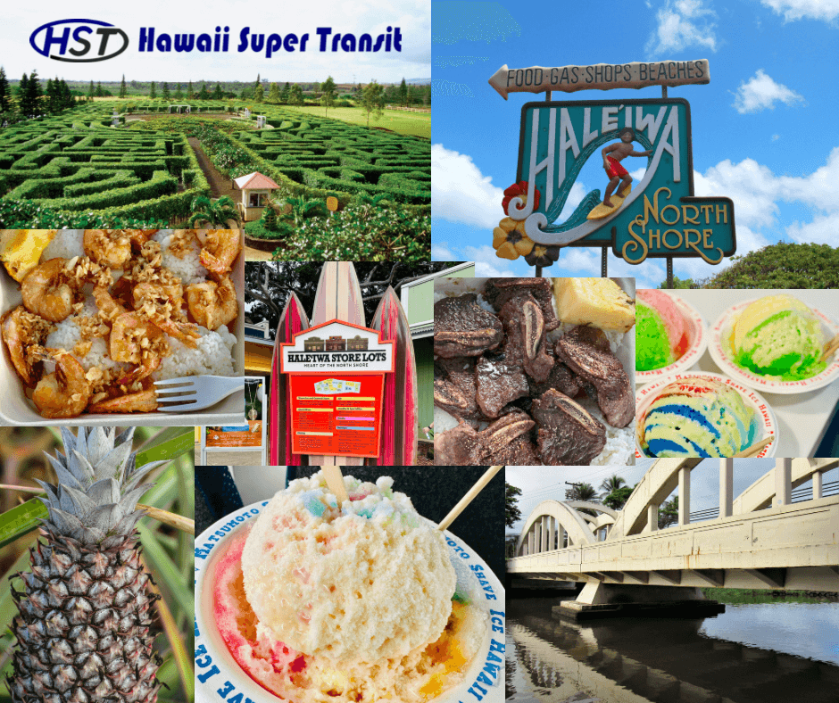 Waikiki - Dole Plantation & Haleiwa Town Shuttle