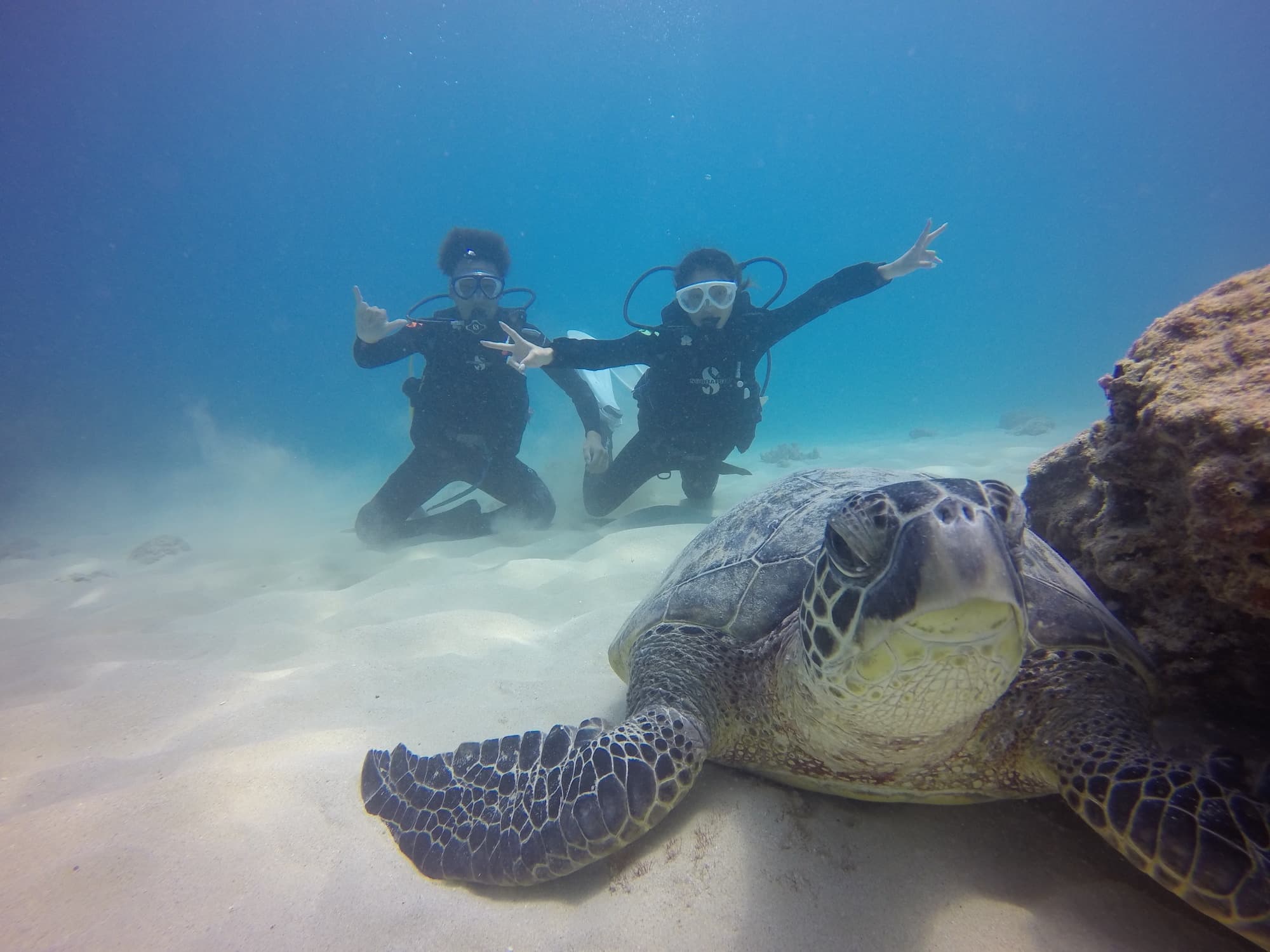 ハナウマ湾ダイビングツアー