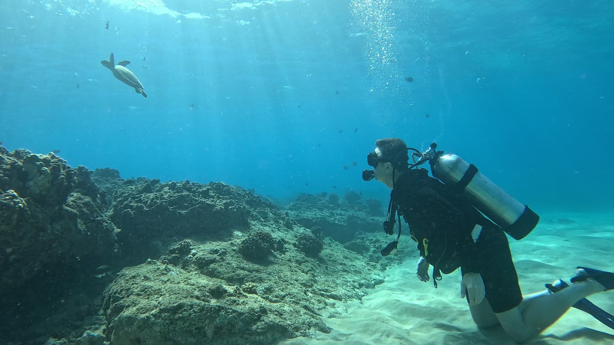 Discover Scuba Diving