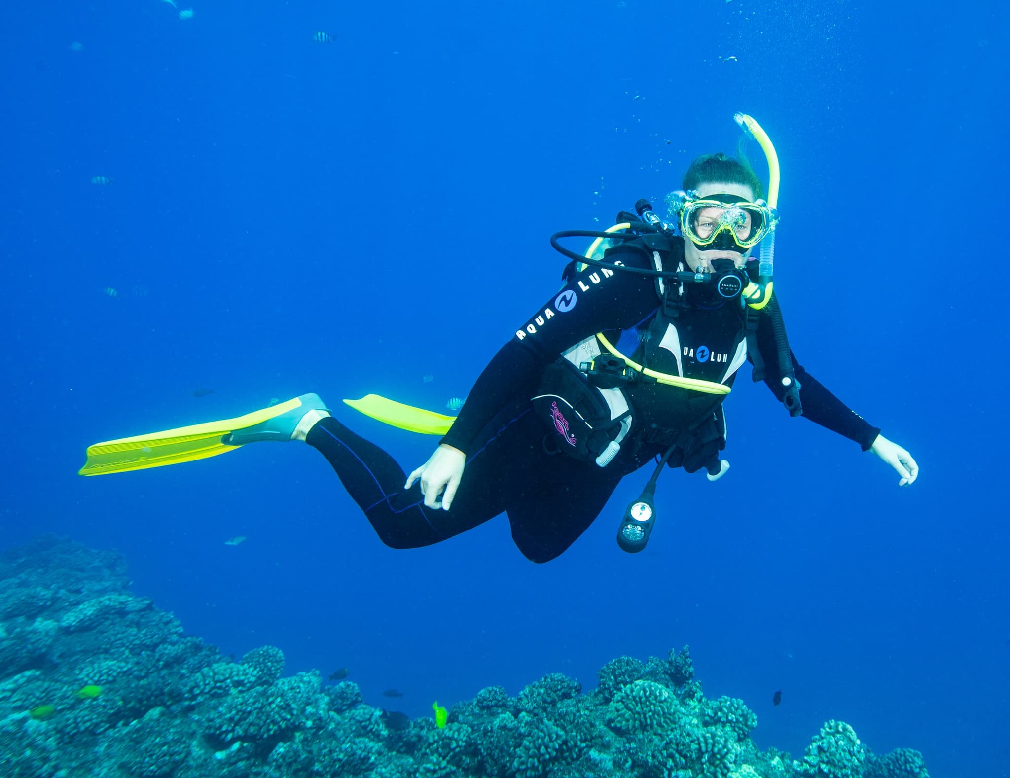 Discover Scuba from Shore
