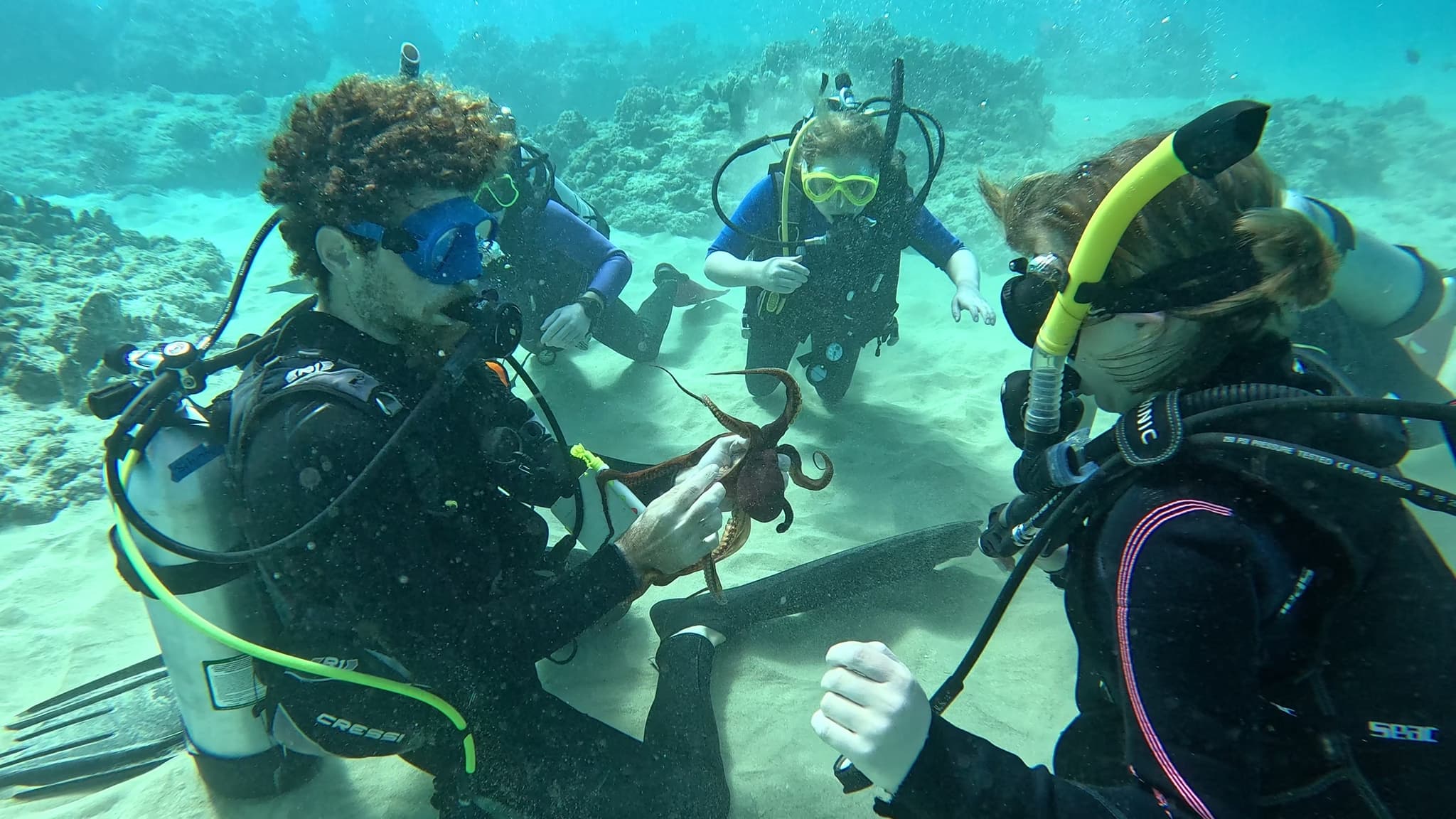 Small Group Guided Shore Dive
