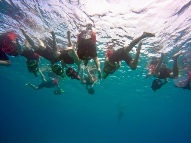 Private Tours Beach Entry - Sea Scooters