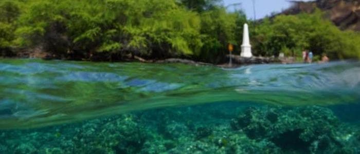 Coastal Marine Life and Snorkeling