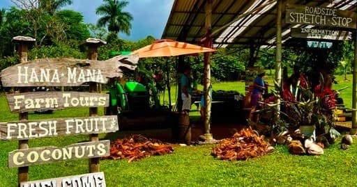 Maui Road to Hana VIP Private Tour in Convertible Bronco or Jeep