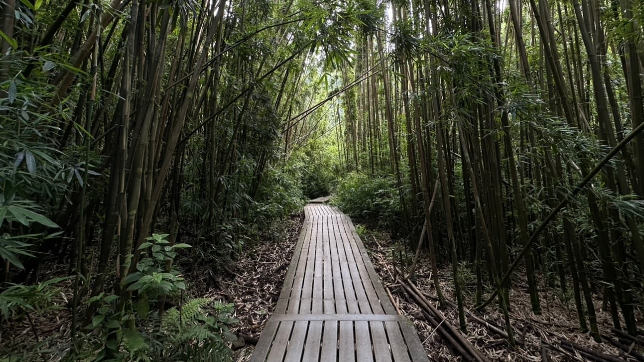 Private Pipiwai Trail Maui Open-Air Jeep Tour
