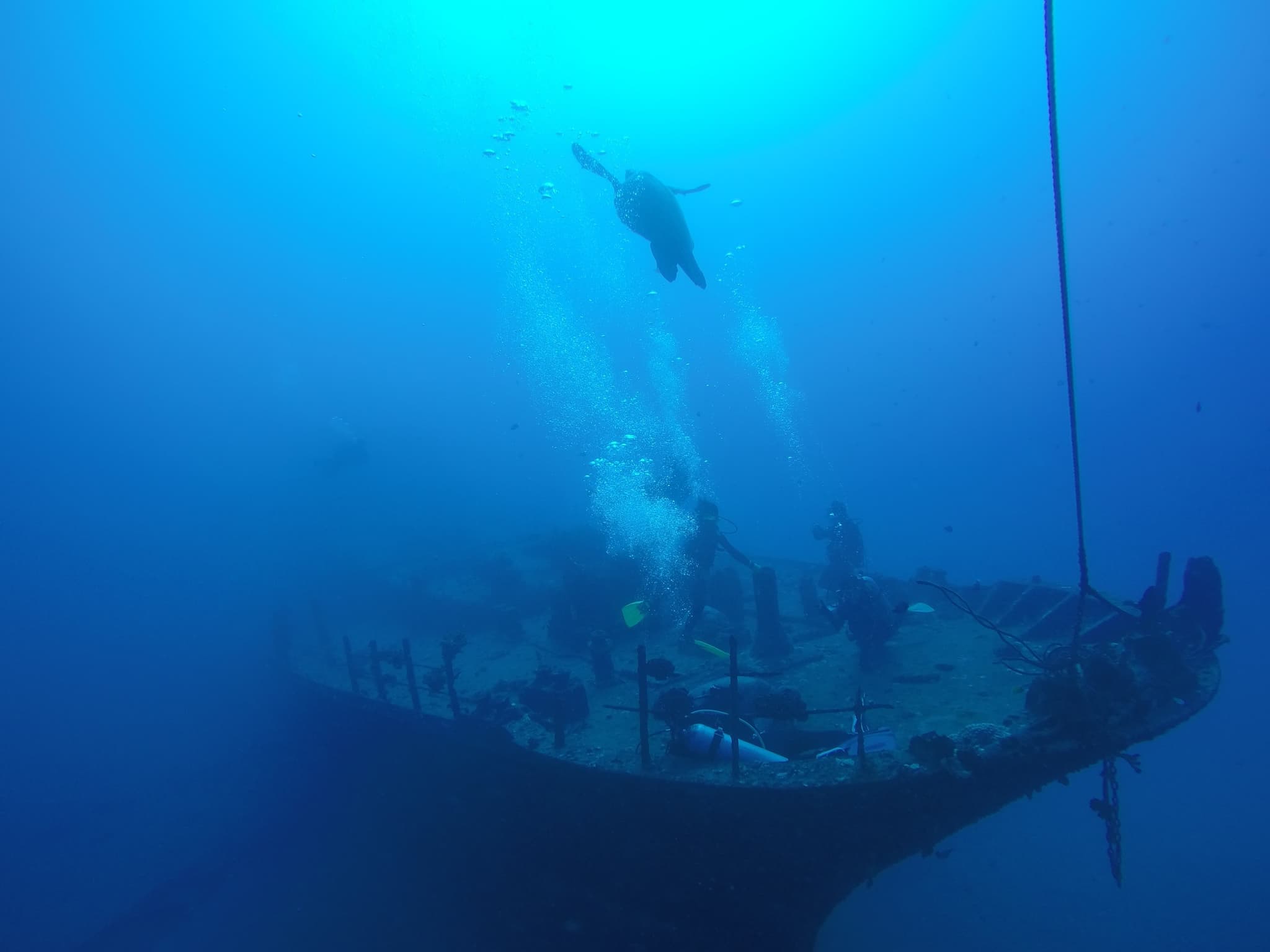 ミックスダイビングプラン