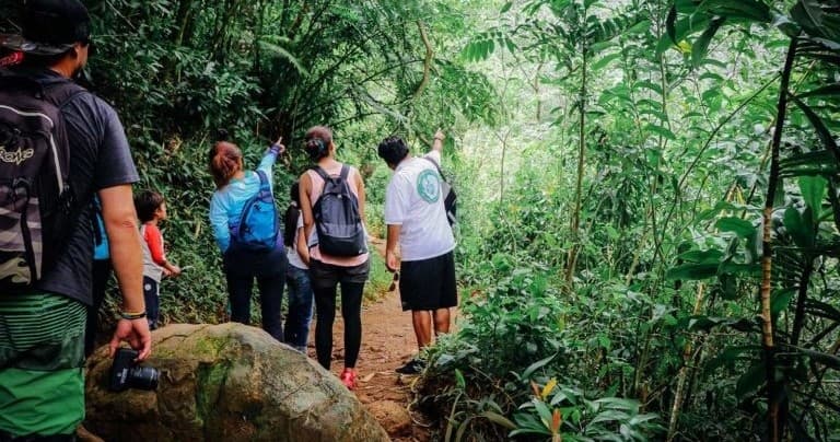 Oahu Friendly Hiking Experience