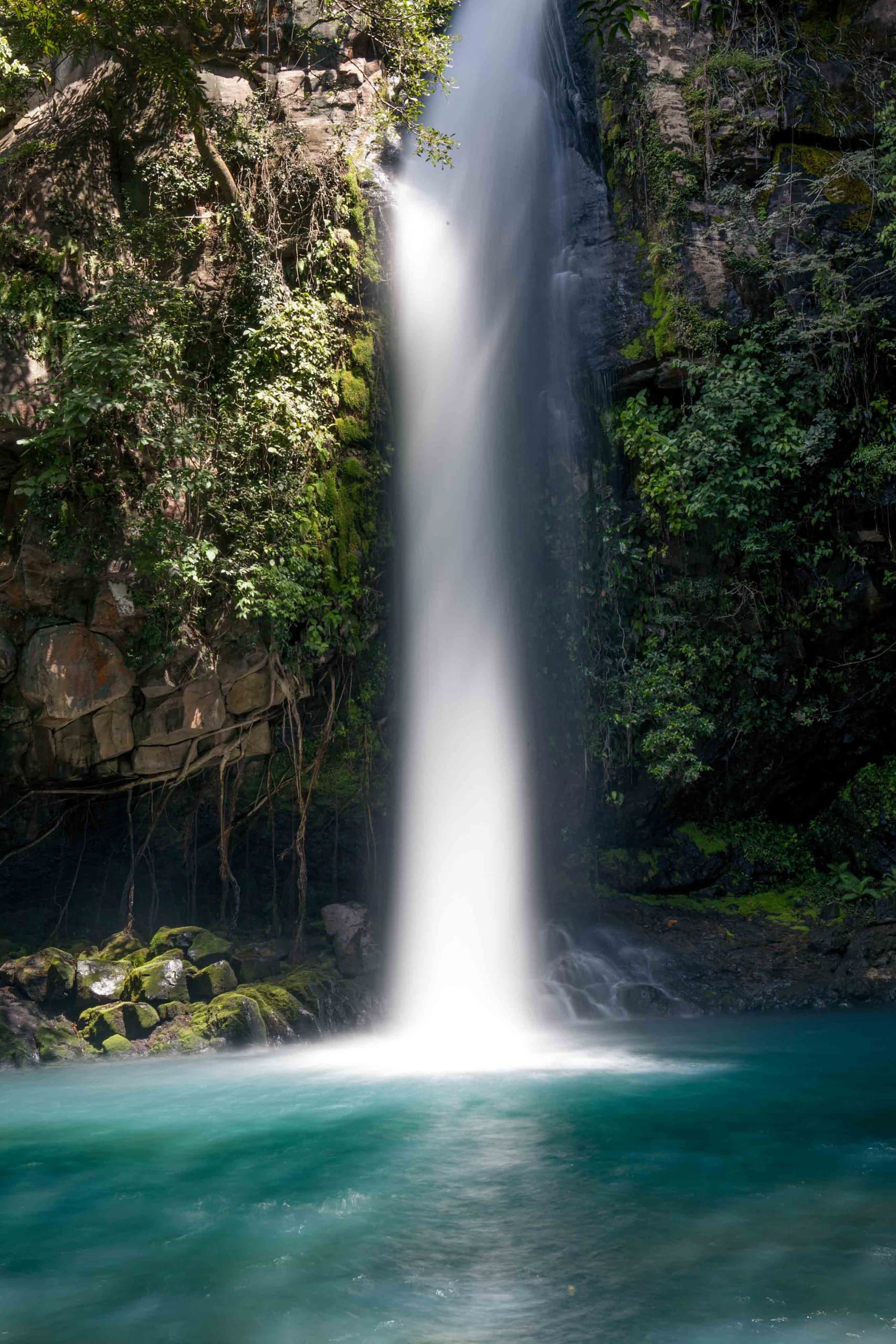 Private Tours: Road to Hana & Haleakala National Park or Customized Adventures