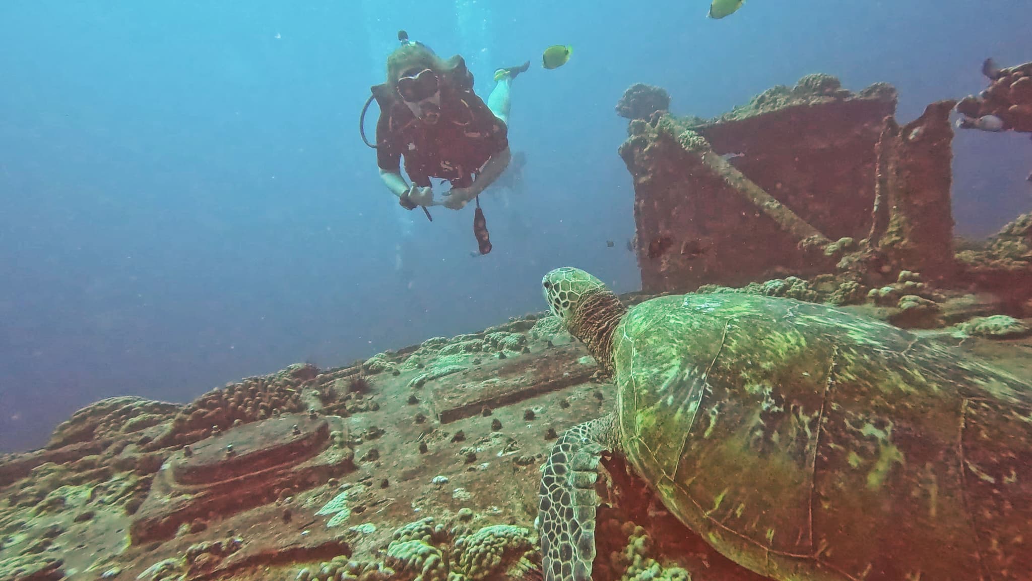 SCUBA Dive Excursion: Two Tank Wreck, Reef and Fireworks