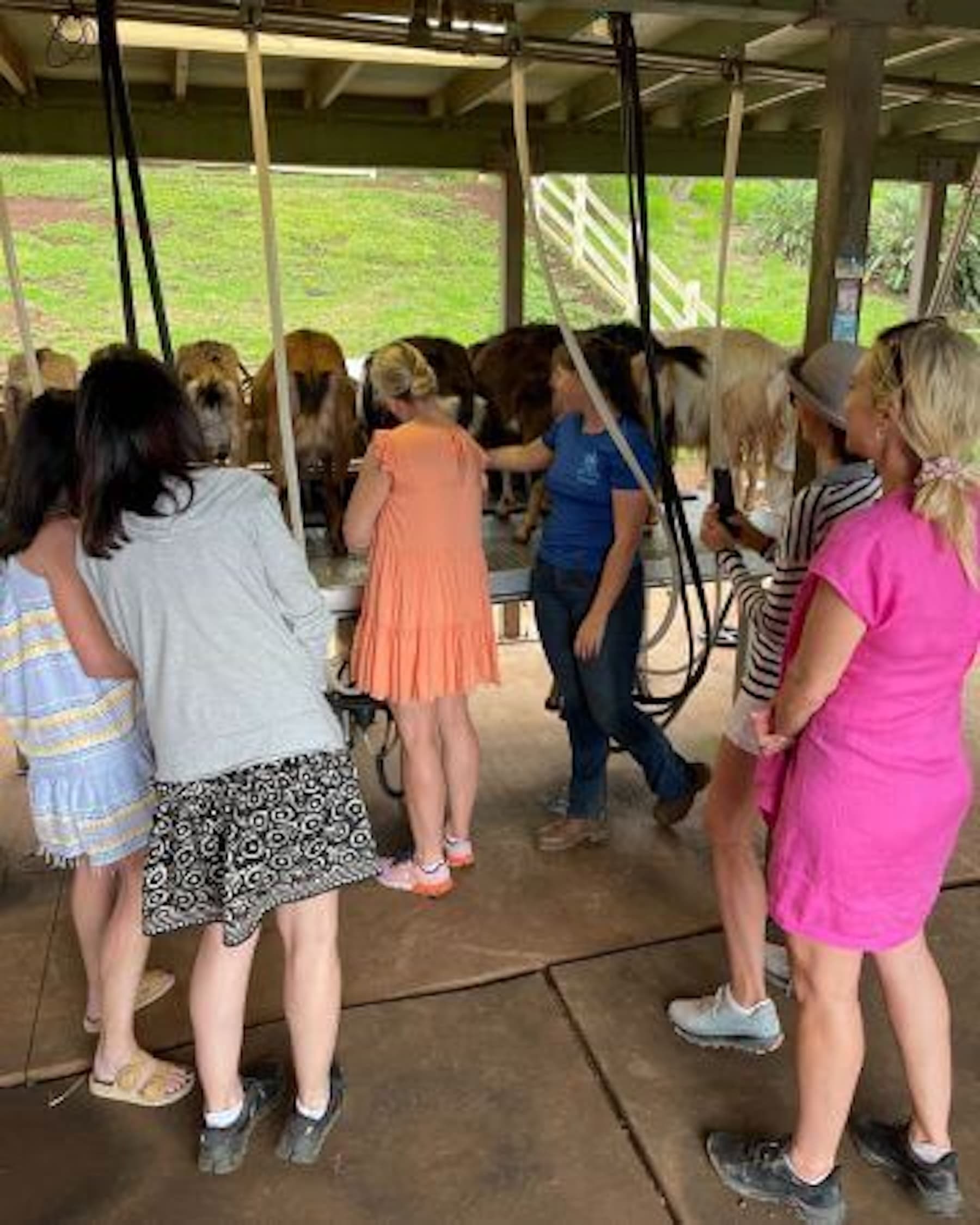 Evening Chore & Milking Tour