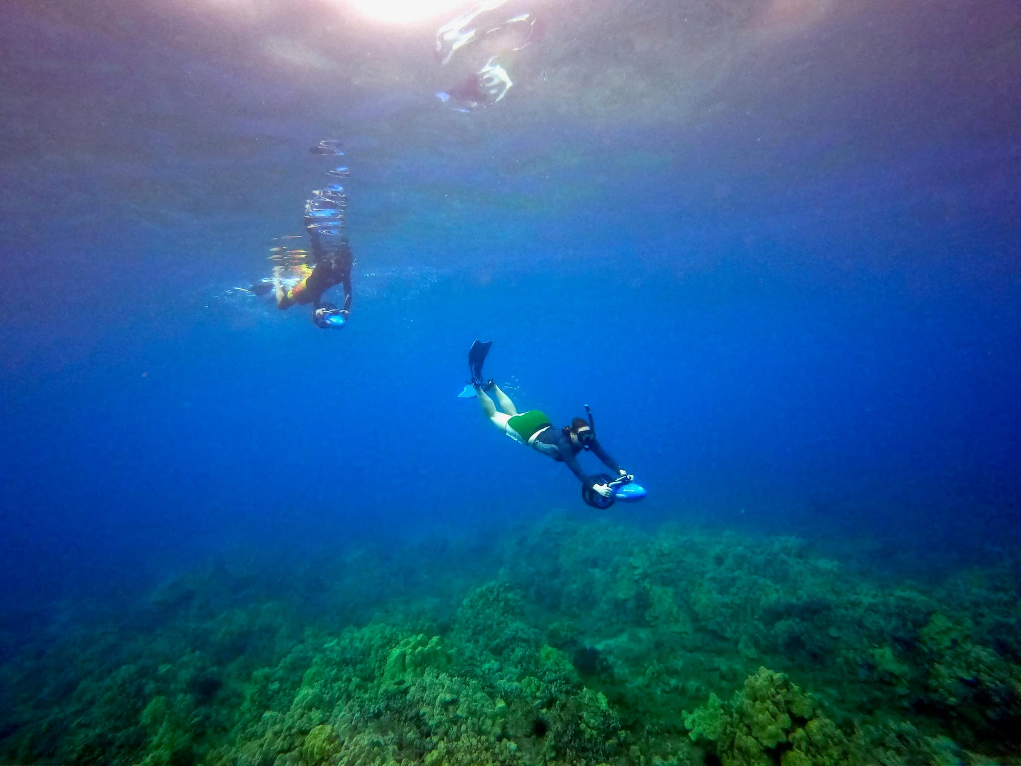 Private Snorkeling Guided Tour - Wailea Beach