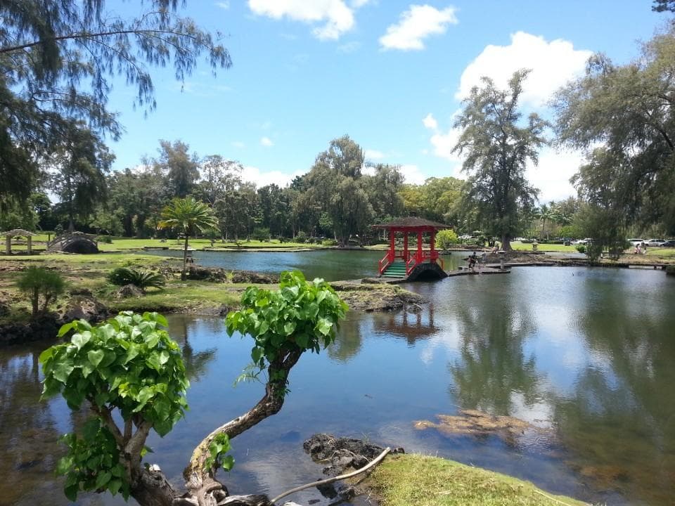 Private Volcanoes National Park Adventure Tour from Hilo