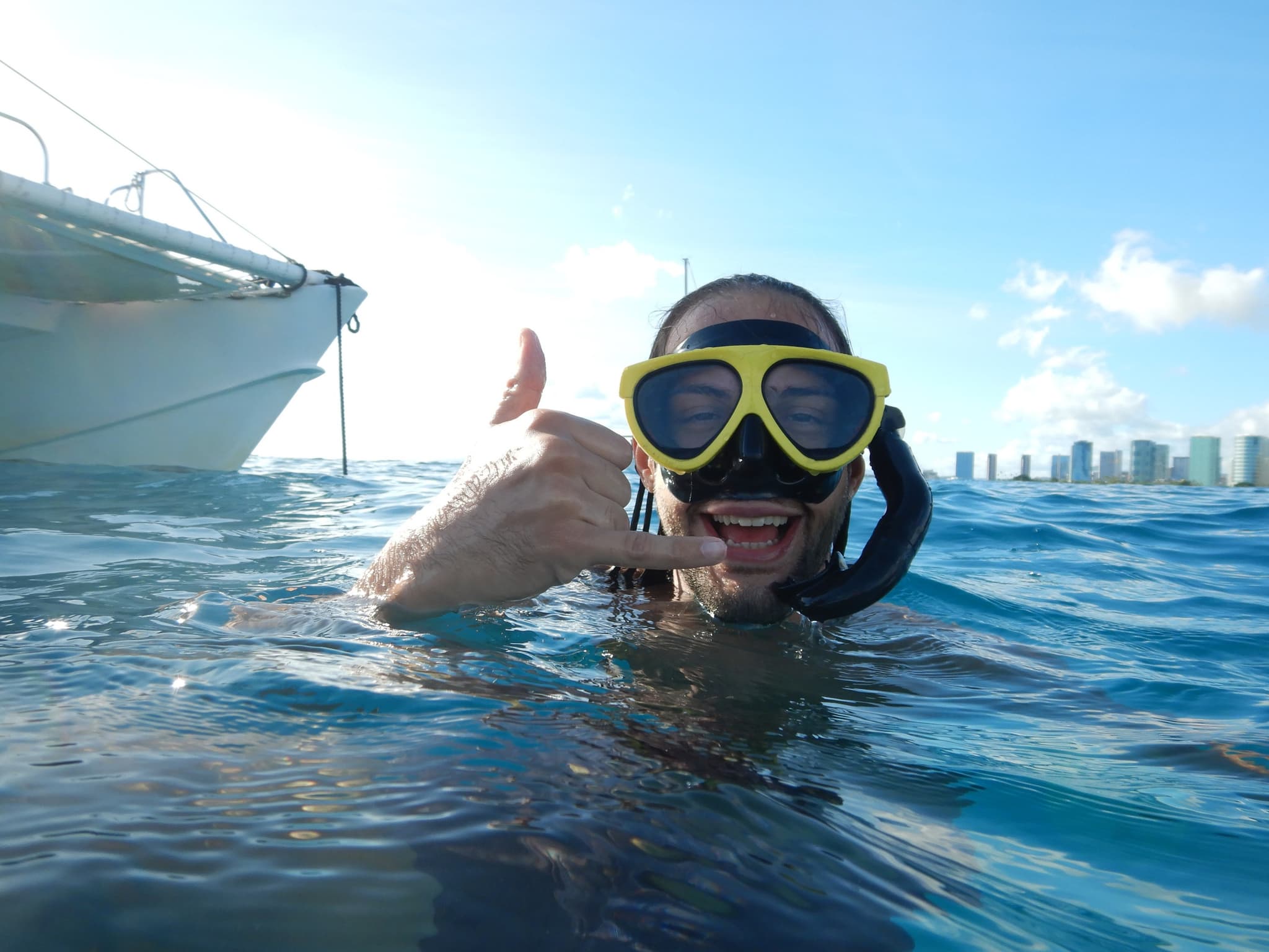 Rainforest to Reef tour:  Half-Day