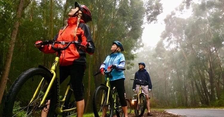 Waimea Canyon Downhill Bike Ride Adventure