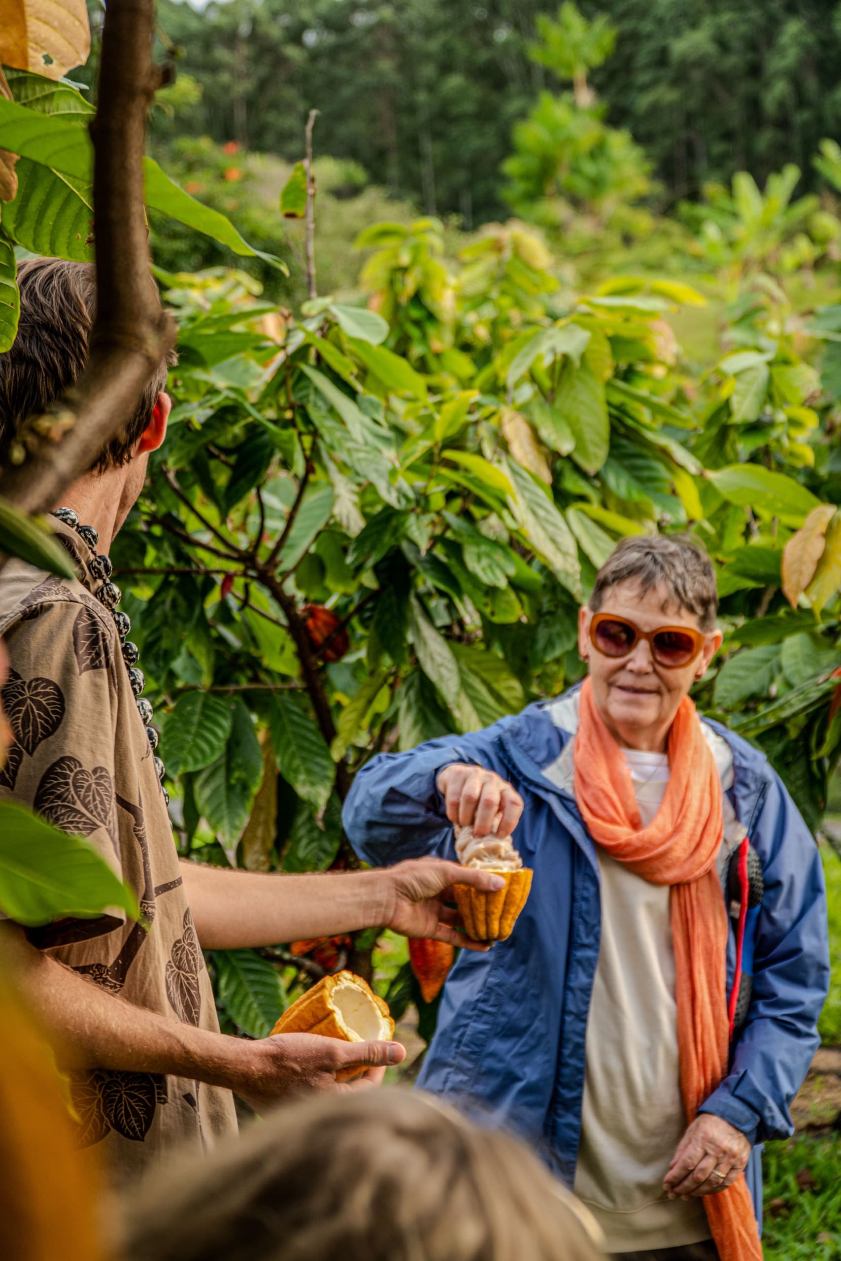 Hawaiian Craft Chocolate Tasting