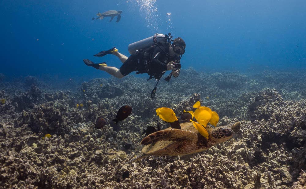 Booked your Pool already? Now you qualify for Discover Scuba One-Tank Afternoon Boat Dive