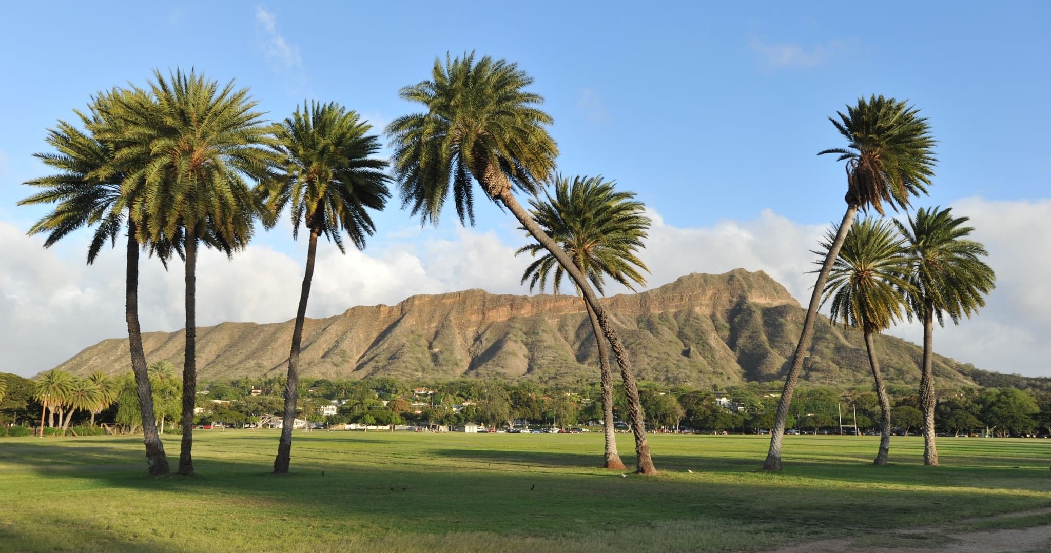 Diamond Head Hiking Shuttle