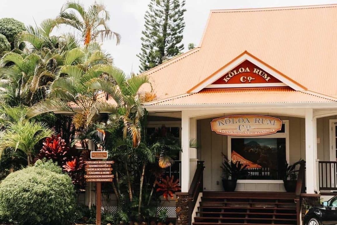 KAUAI - Hop-On Hop-Off Tour for Resort Guests