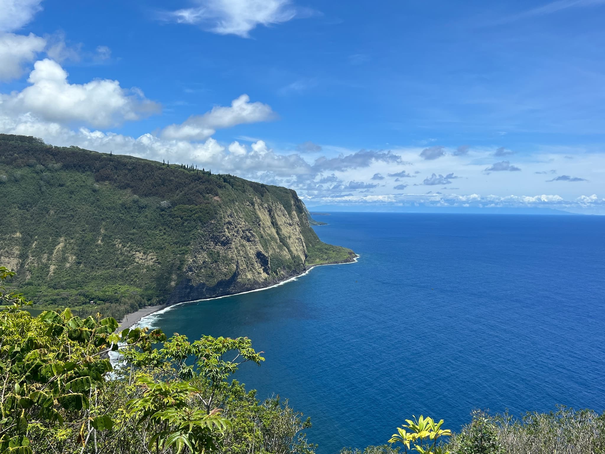 SHARED Heavenly Hamakua from Kona