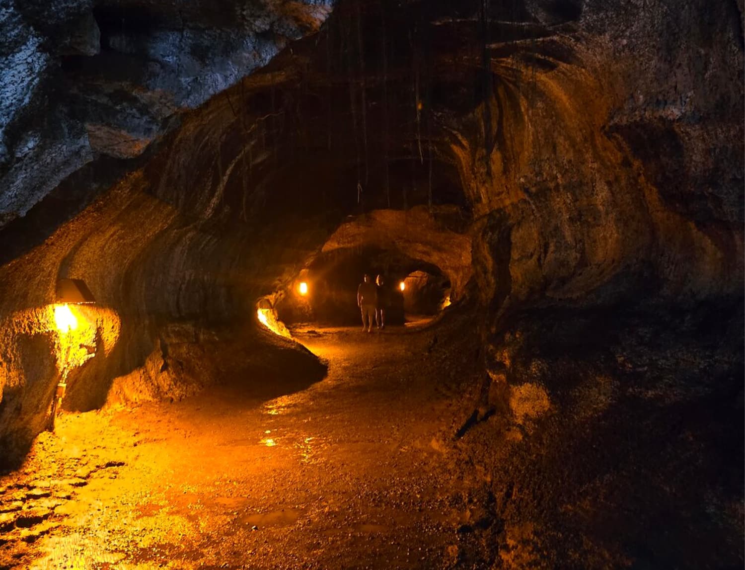 Big Island Day Tour w/ Lunch