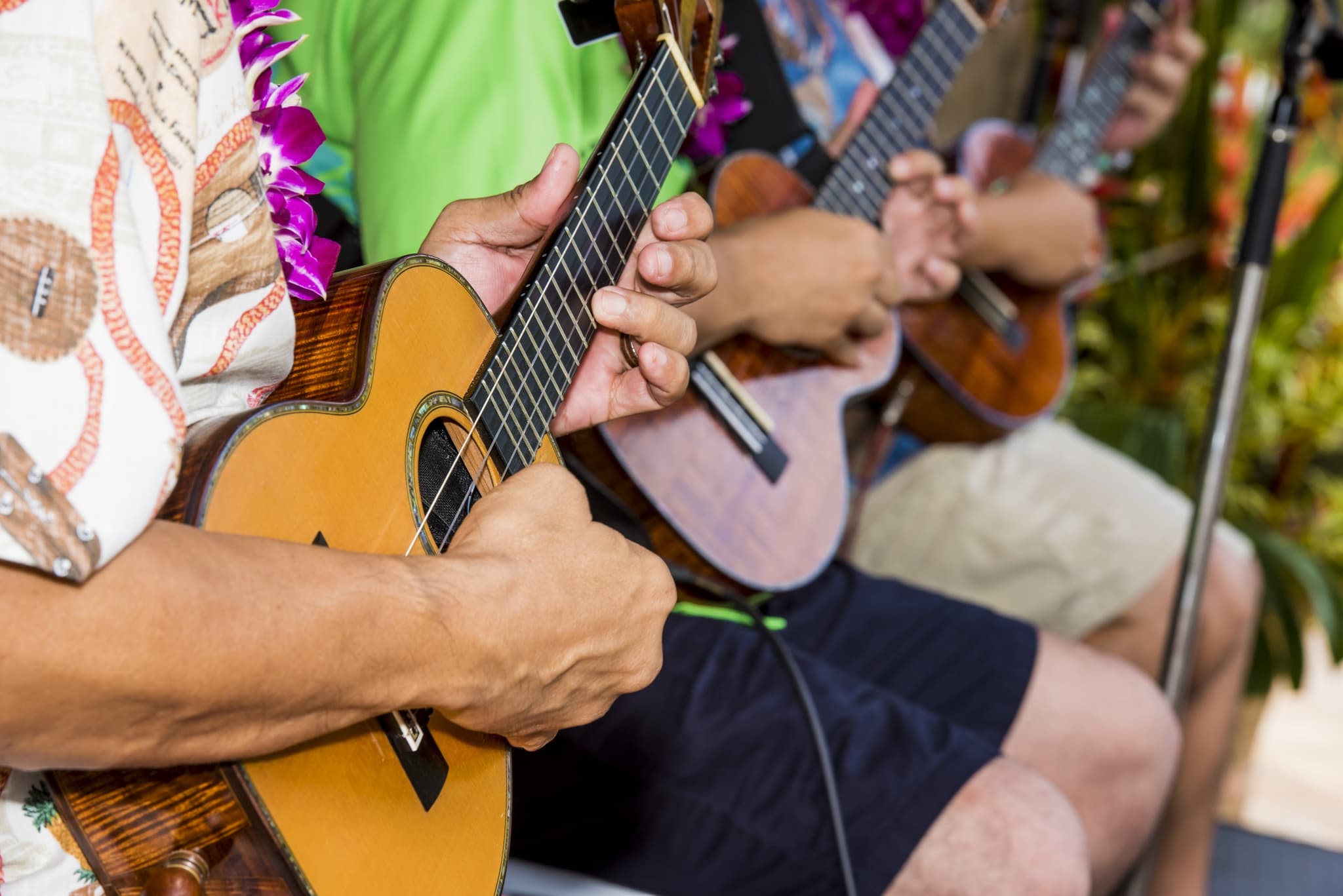 The Melodies of Aloha
