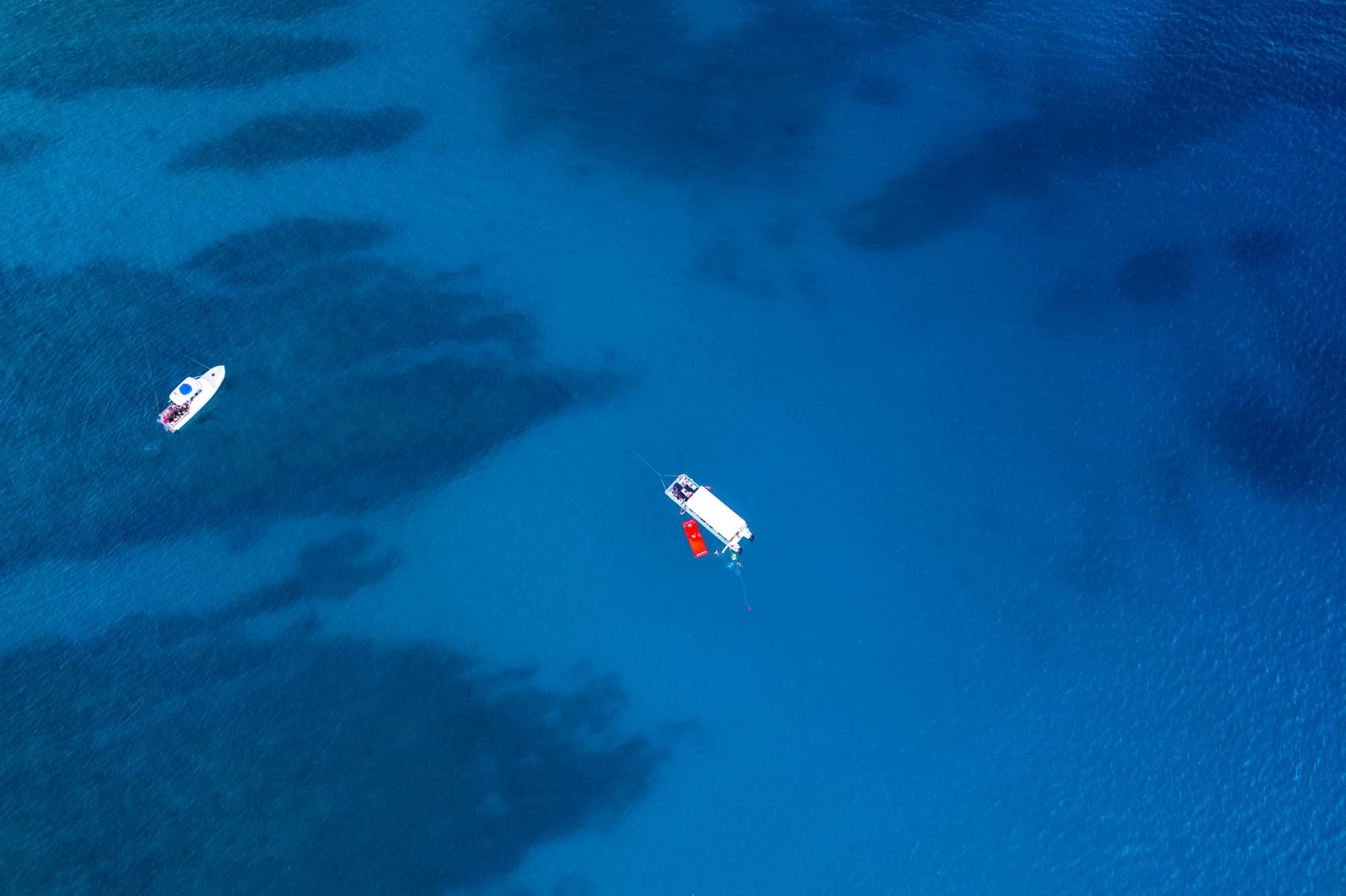 Waikiki Whale Watching Cruise