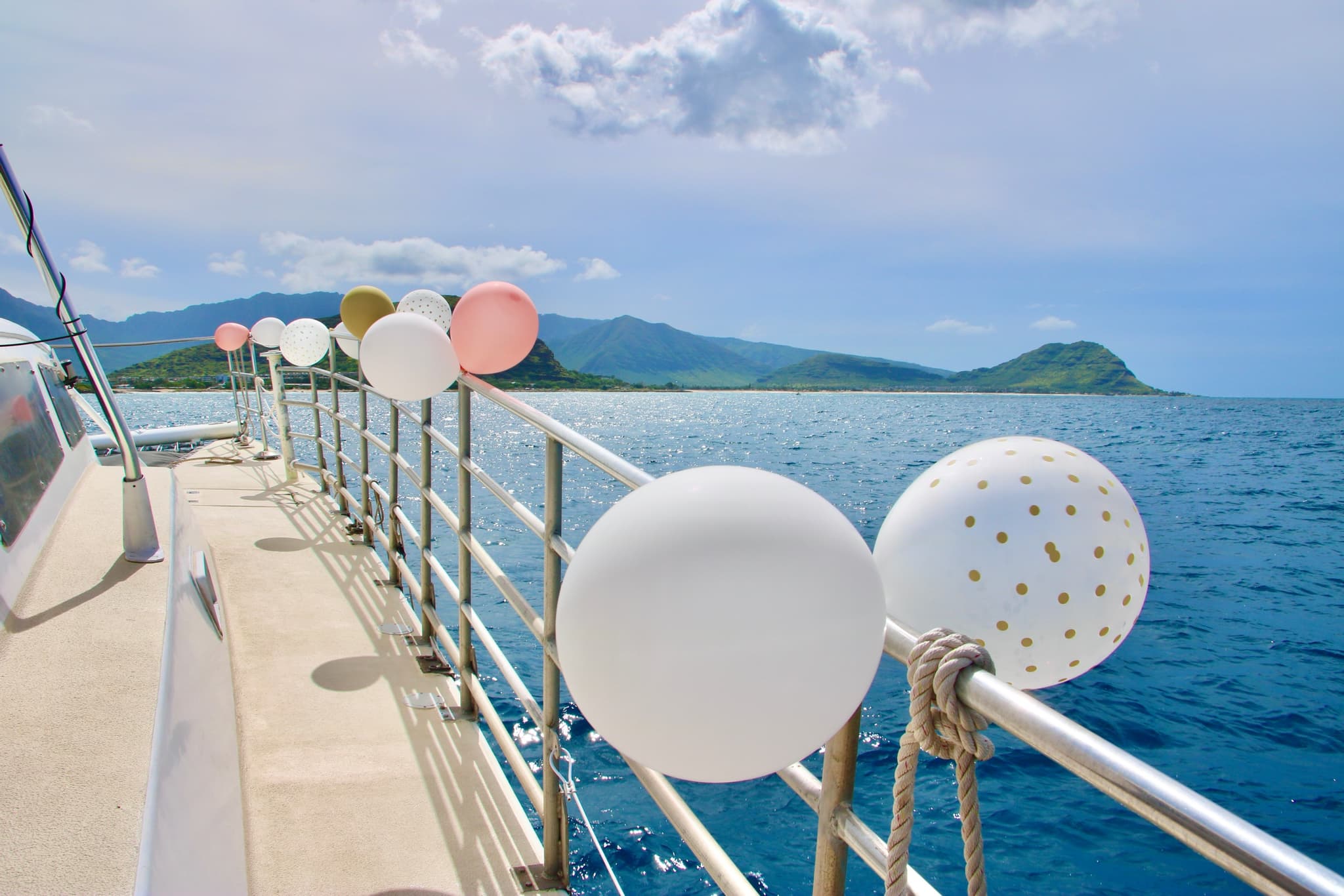 Private Cruise - Dolphin & Snorkel