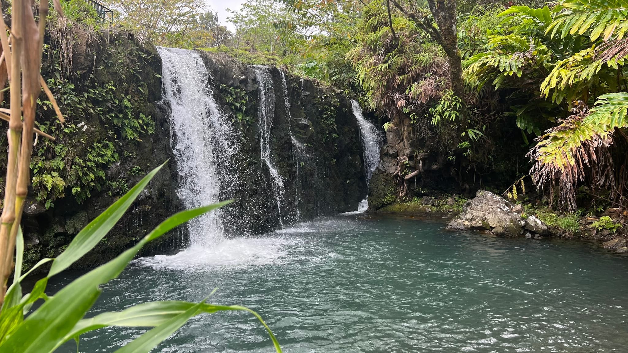 Famous Epic Road to Hana Adventure with Airport Pick-up