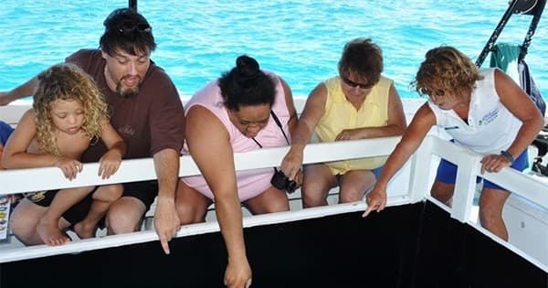 Glass Bottom Boat Cruises