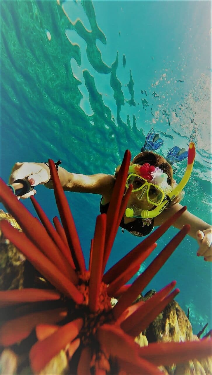 Molokini/Turtle Town Snorkel