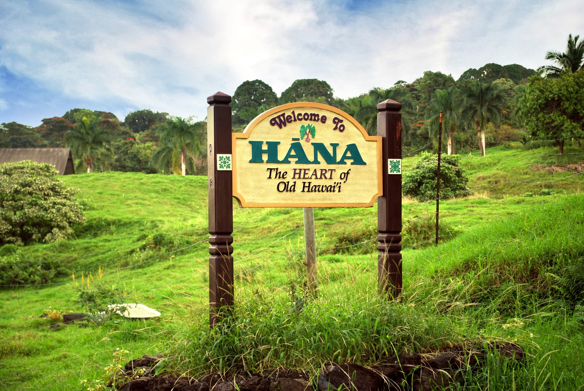 Luxury Private Full Road to Hana Tour with Hotel Pickup/Drop Off