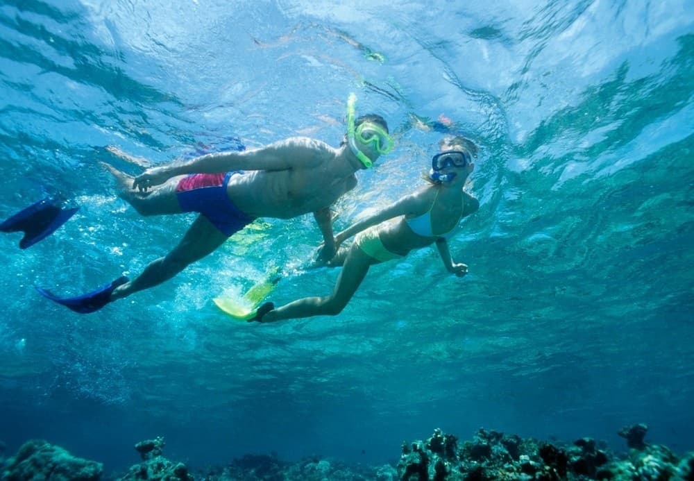 2-Hour Waikiki Snorkel Adventure
