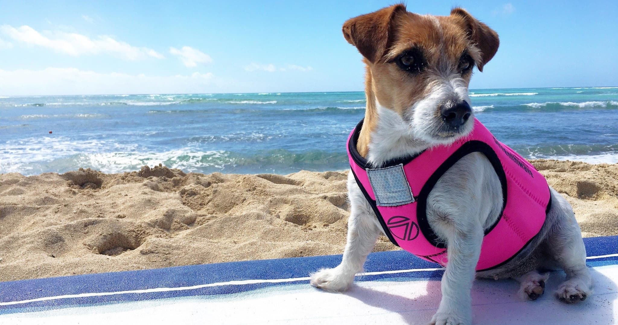 ALA MOANA - 2HRS SUP LESSONS